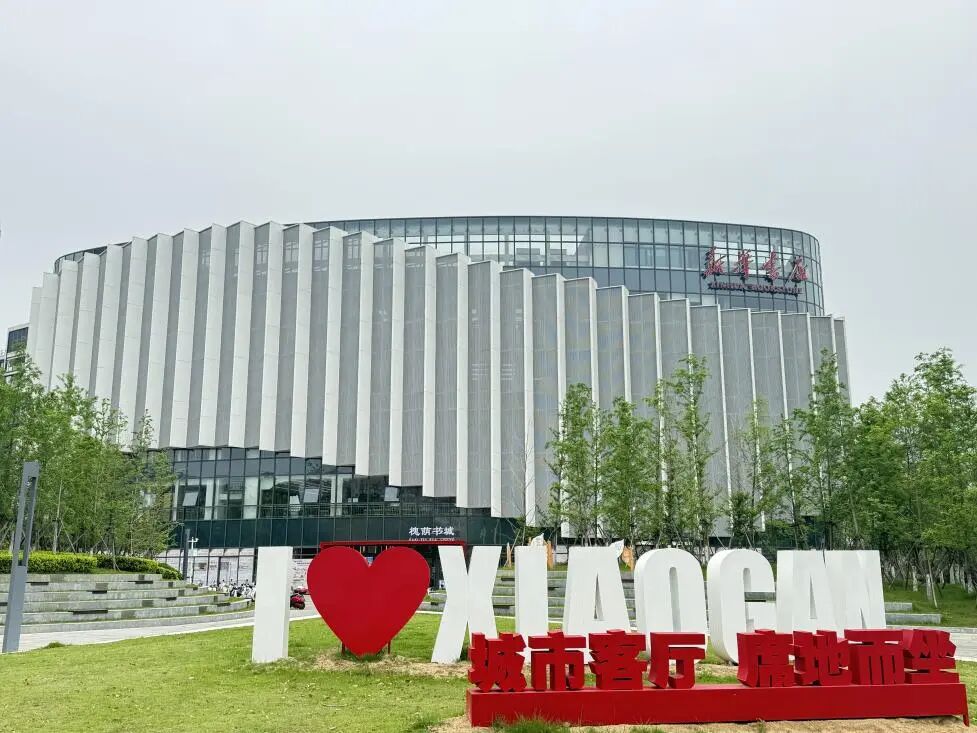 1763079810966060381.jpg 9.jpg