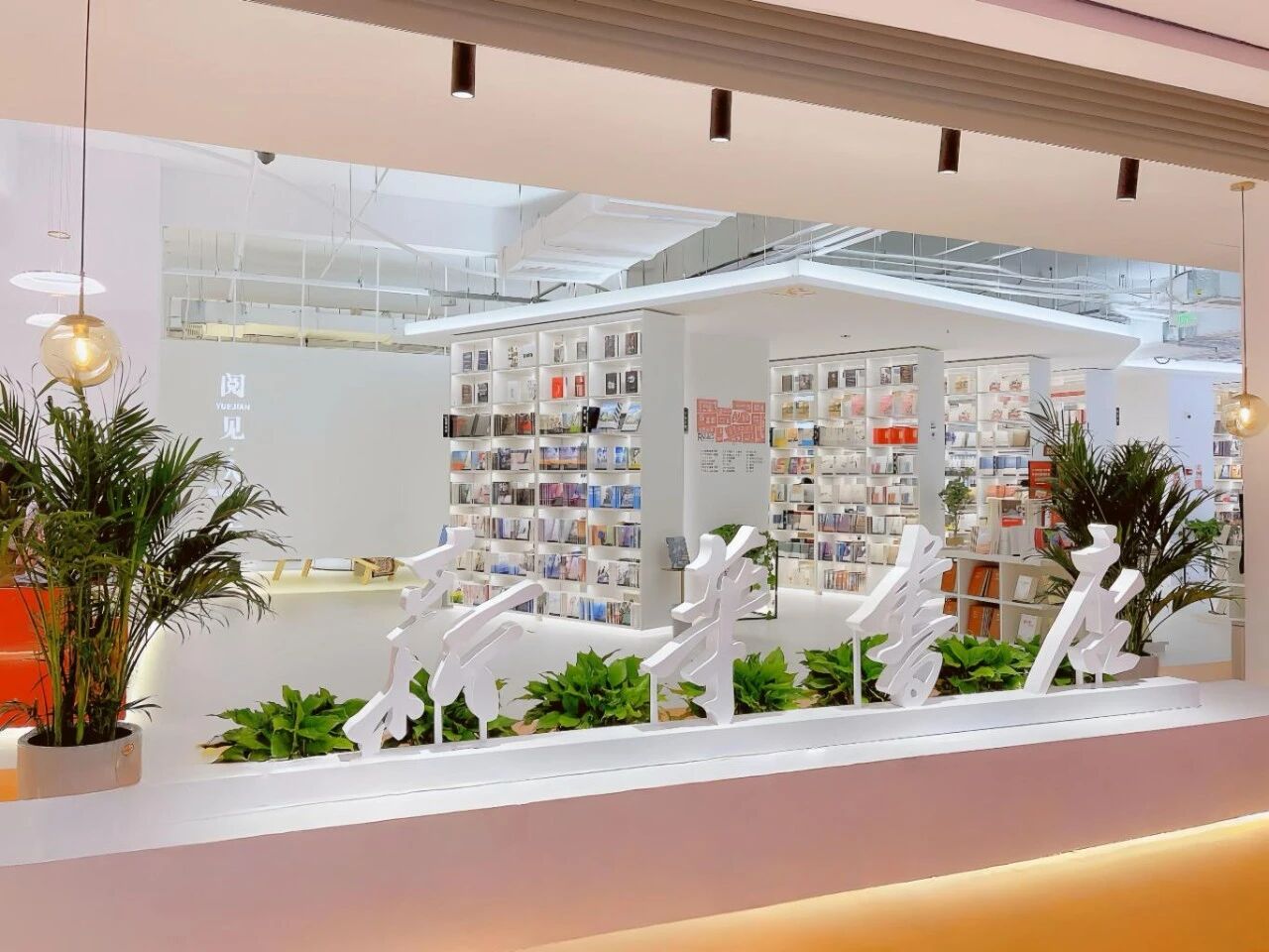 1763080214774007445.jpg 31.jpg